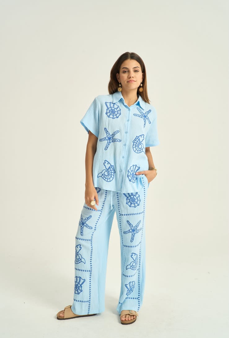 Set shells blue