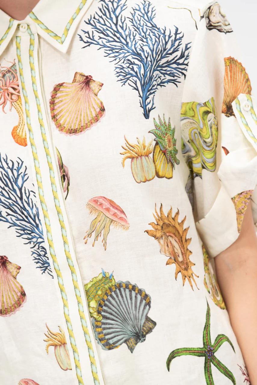 Set Alemis Shells