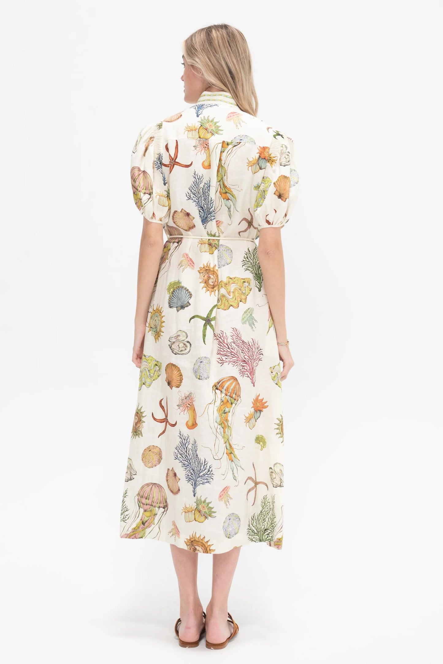 Set Elmais Shells