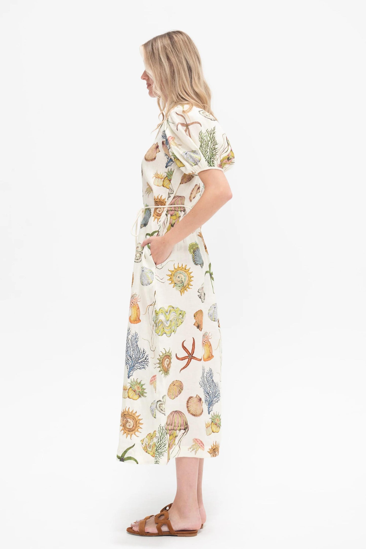Set Elmais Shells