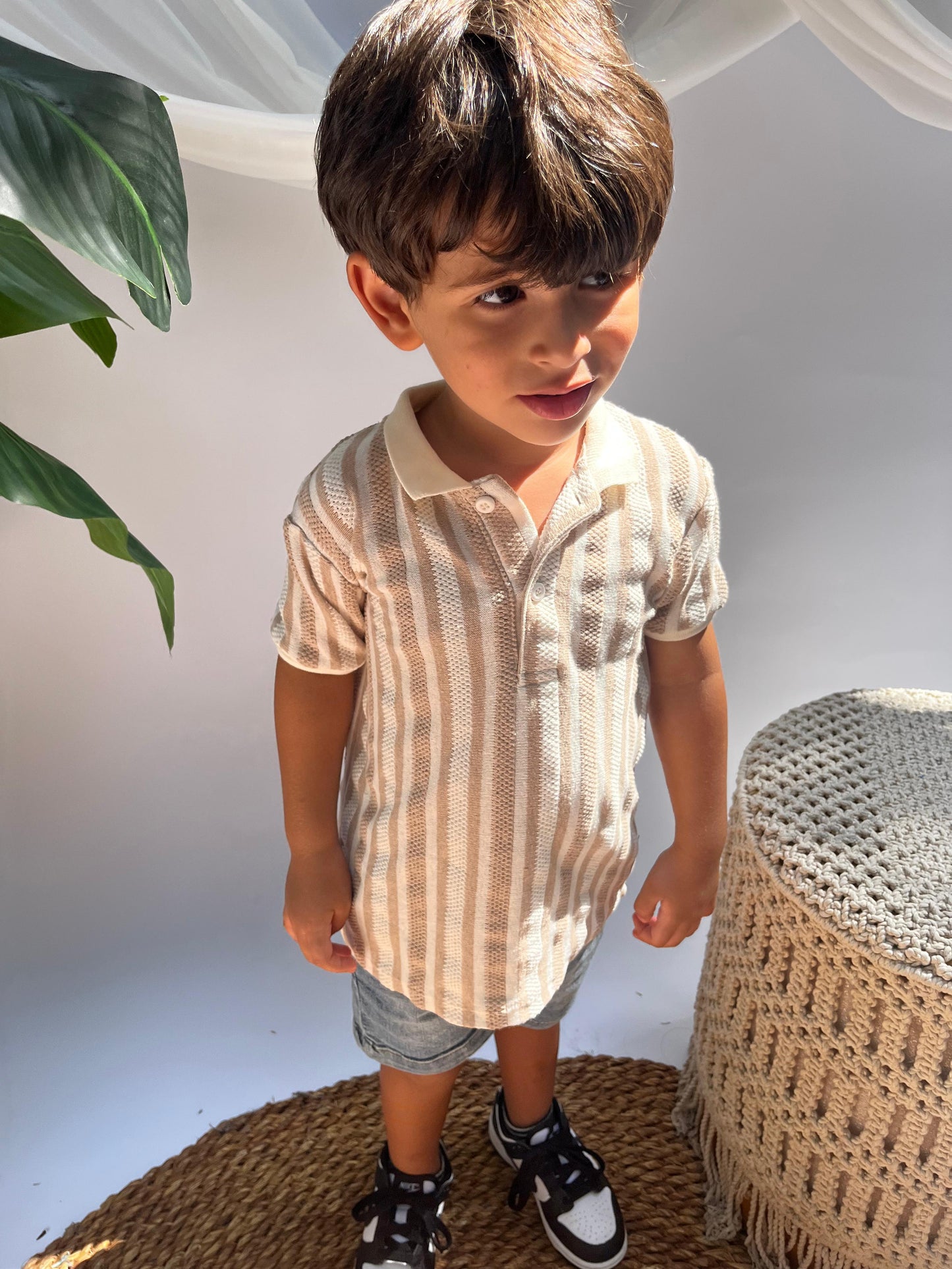 Strip Polo Shirt
