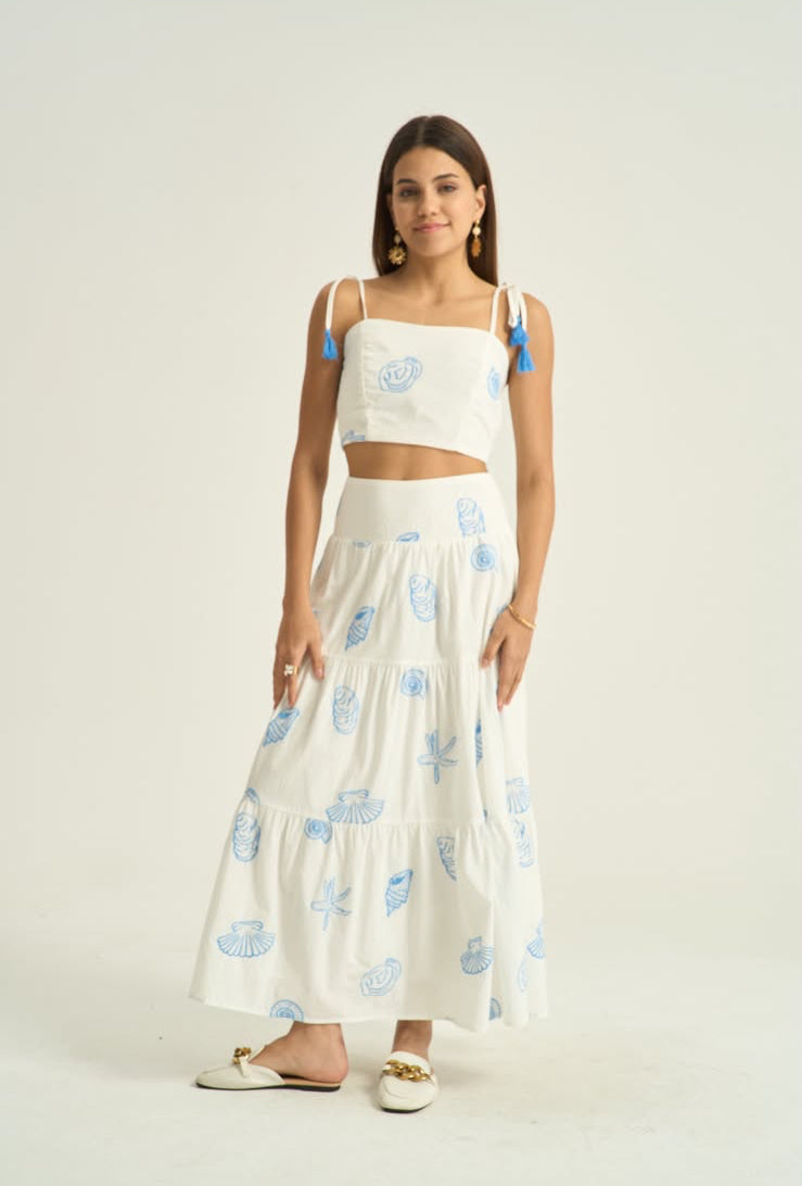 Set blue blanc