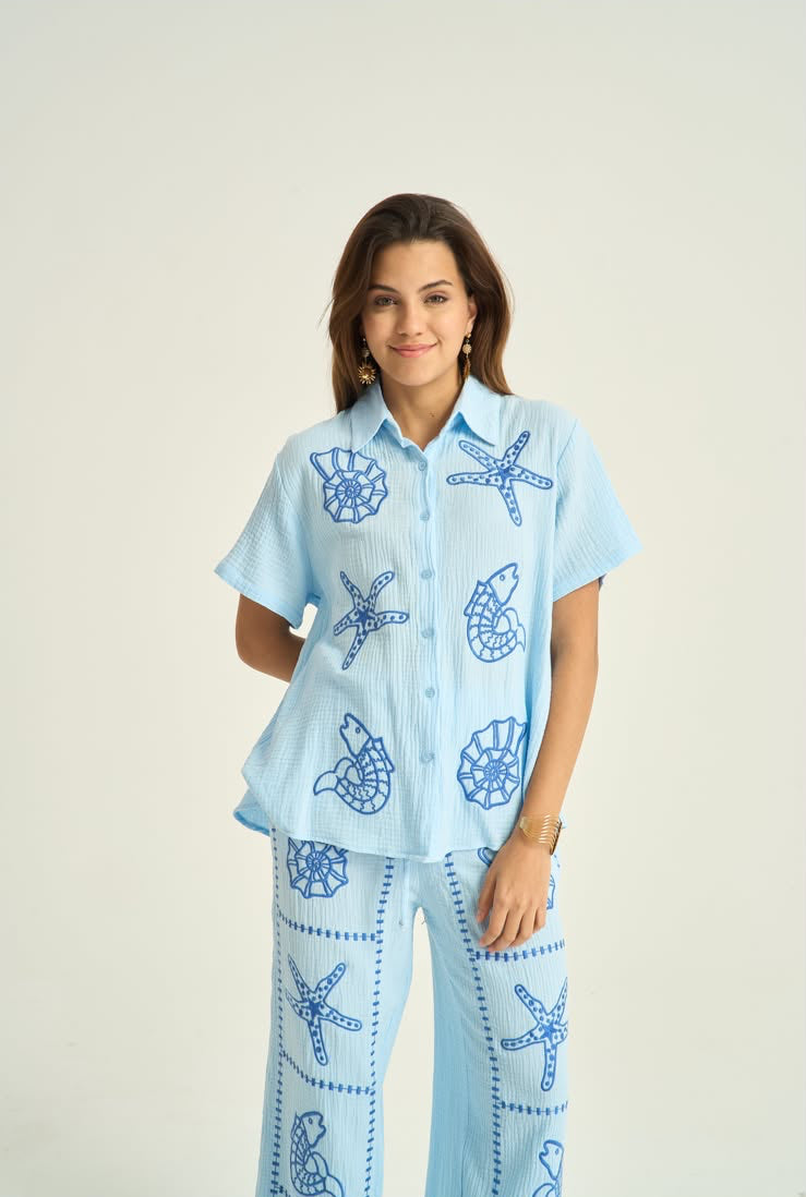 Set shells blue