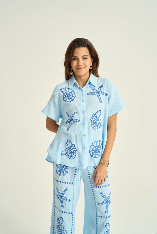 Set shells blue