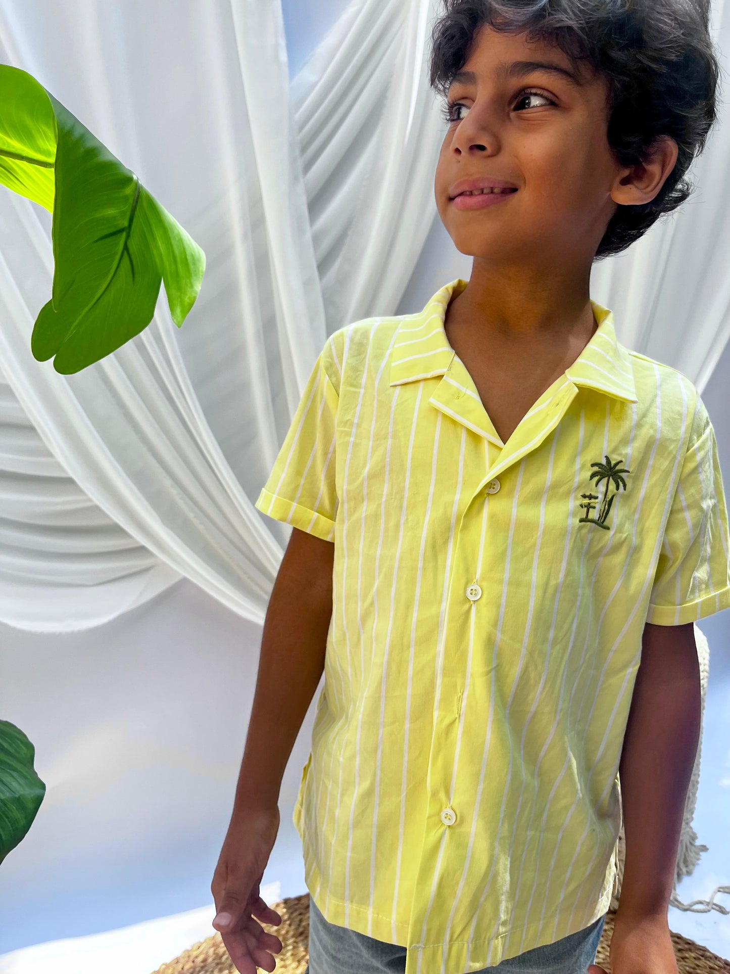 Cotton Shirt